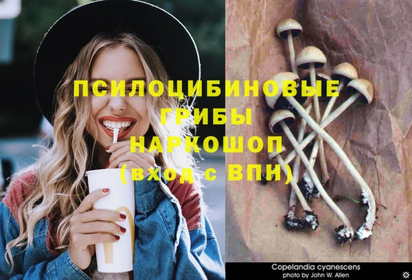 ECSTASY Дмитриев