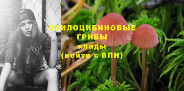 а пвп мука Ельня
